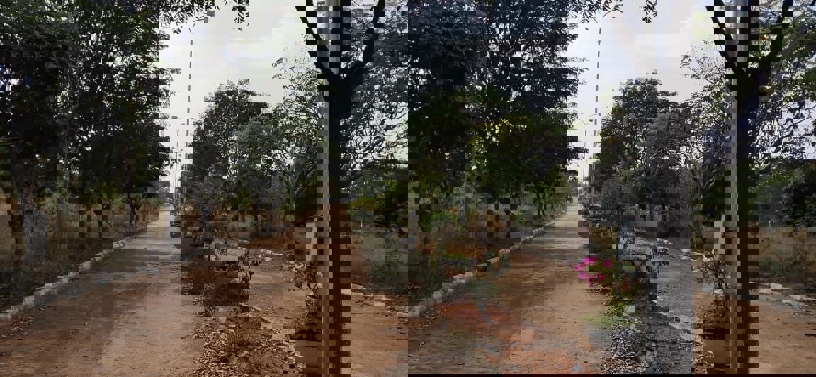 Plot For Sale in Kandukur