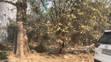  Plot For Sale in Sigma Ii Greater Noida