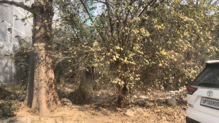 Cover Image, sigma ii greater noida  300 Sq.Mt. Plot In Sigma Ii Greater Noida Greater Noida 9841540