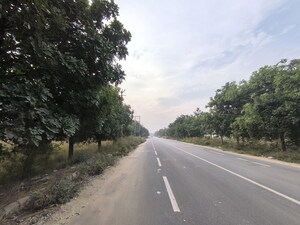 Plot Area in  Plot at Pataudi – for Sale