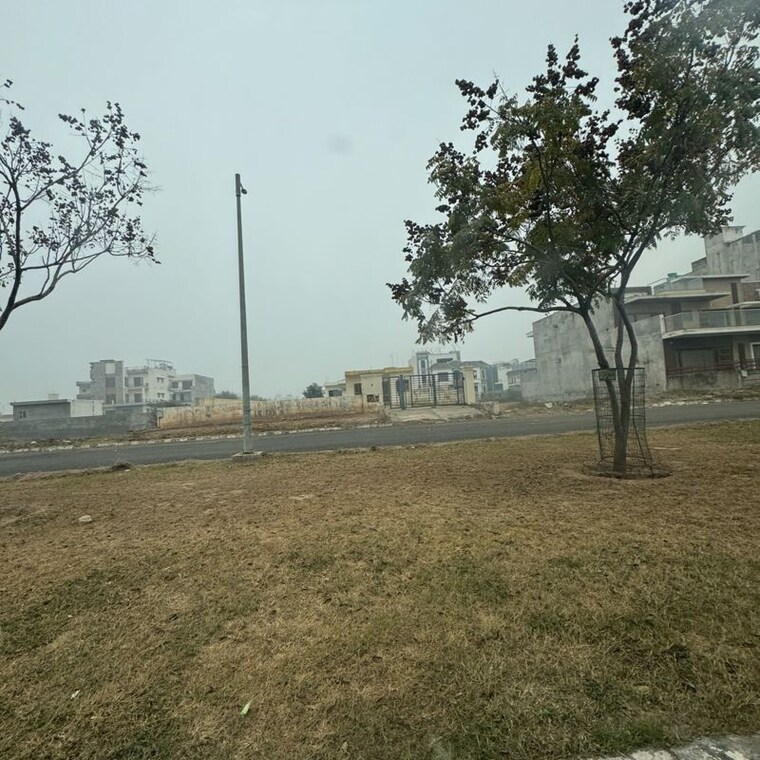 undefined, aerocity  500 Sq.Yd. Plot In Aerocity Mohali 9841655