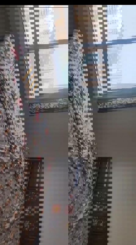 1 BHK + Pooja Room Apartment For Rent in Paranjape Blue Ridge