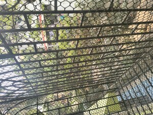 2 BHK Independent House – Exterior View View at Kurla East - for Rent