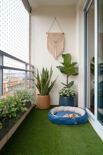 Terrace in  Pg at Vibhuti Khand – for Rent