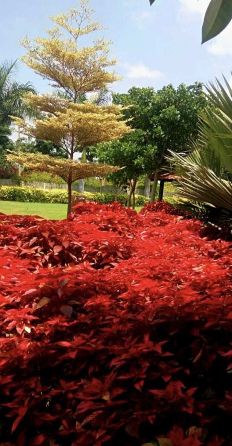 Garden, gauribidanur  1500 Sq.Ft. Plot In Gauribidanur Bangalore 9842869