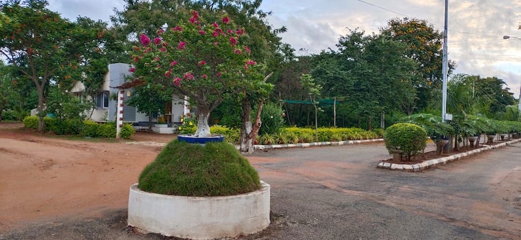 Garden, wave city  950 Sq.Ft. Plot In Wave City Ghaziabad 9842928