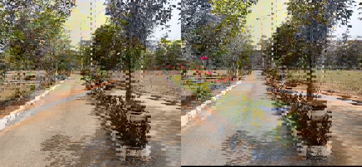 Plot For Sale in Wave City