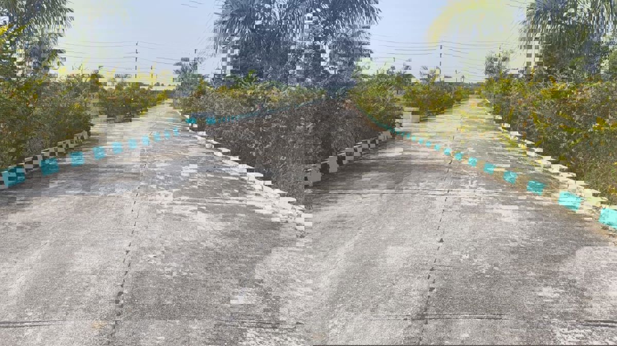 Plot For Sale in Hoskote