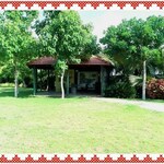 1200 Sq.Ft. Plot in Gauribidanur