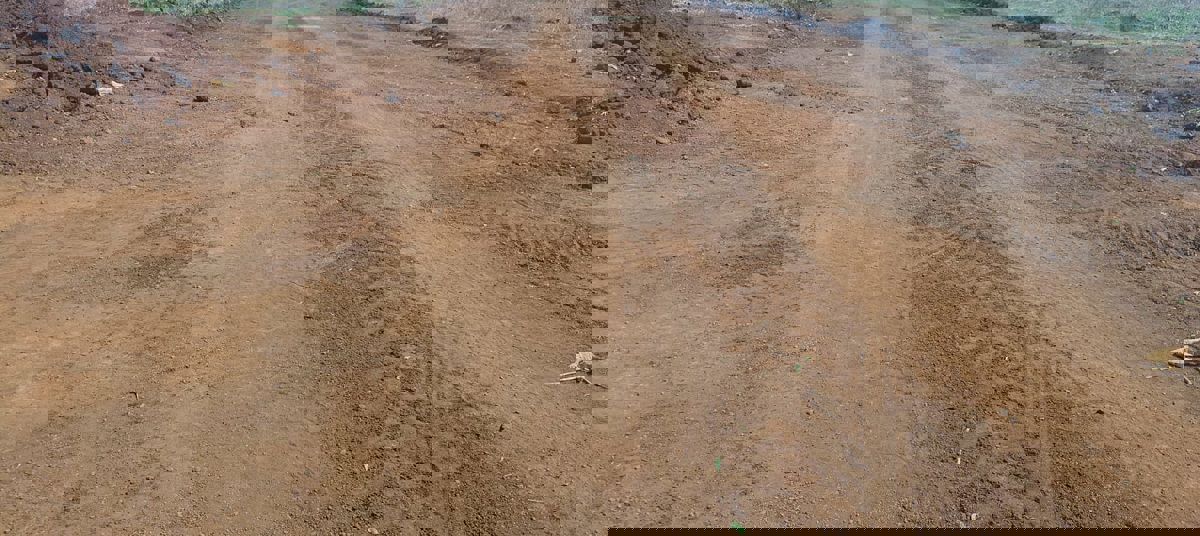 Plot Area in  Plot at Zaheerabad – for Sale