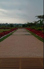 1200 Sq.Yd. Plot in Gauribidanur