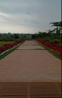 Plot For Sale in Gauribidanur