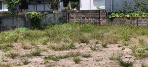 Plot Area in  Plot at Marad – for Sale