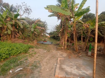  Plot – Garden View at Sonarpur - for Sale