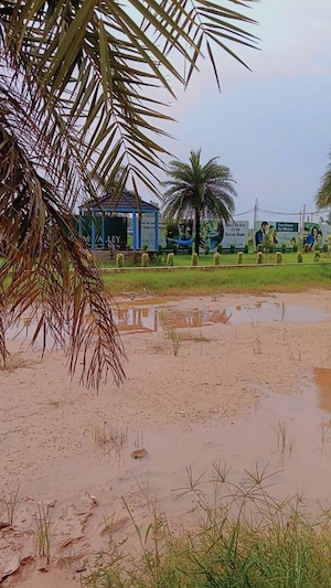 Plot Area in  Plot at Panchkula Urban Estate – for Sale