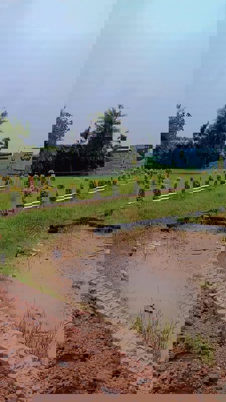 Plot For Sale in Panchkula Urban Estate