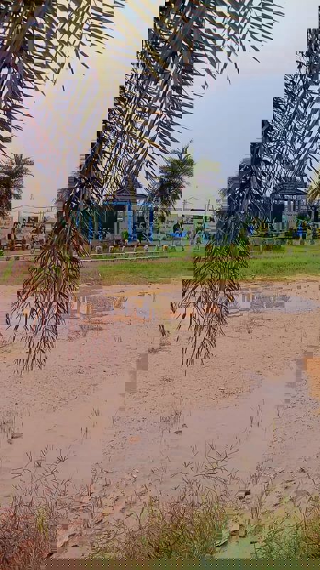 Plot For Sale in Panchkula Urban Estate