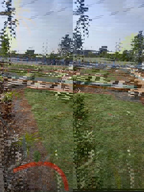 Plot For Sale in Jigani