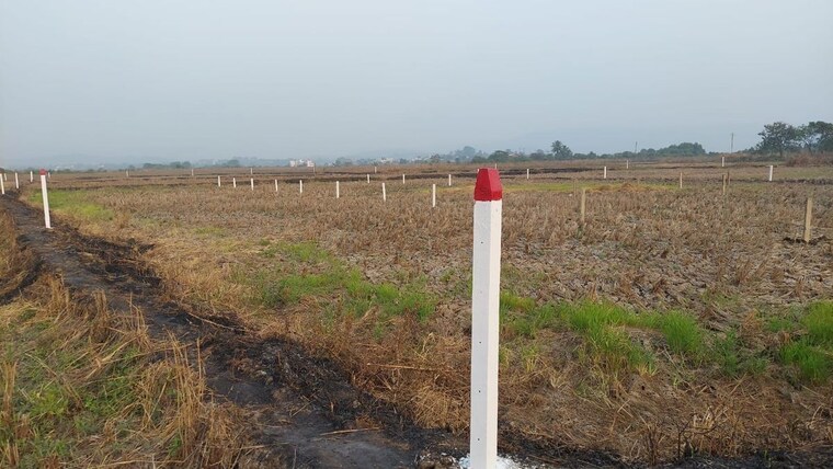 undefined, nampalli  258 Sq.Yd. Plot In Nampalli Hyderabad 9844830