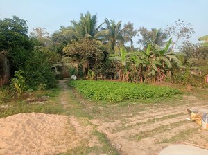 Plot Area in  Plot at Sonarpur – for Sale