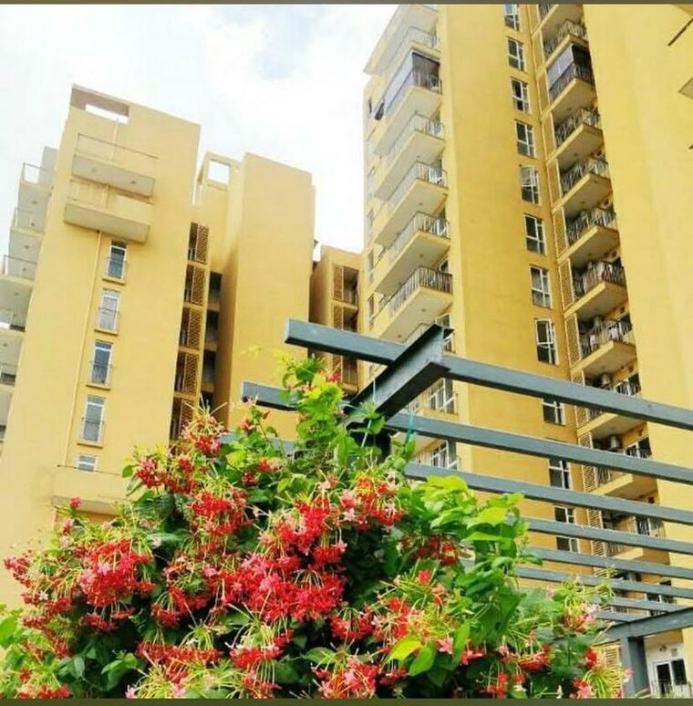 Exterior View, dlf-new-town-heights-i 3 Bedroom 1800 Sq.Ft. Builder Floor In Sector 90 Gurgaon 9845045