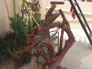 Gym in 1 RK Independent House at Rt Nagar – for Rent