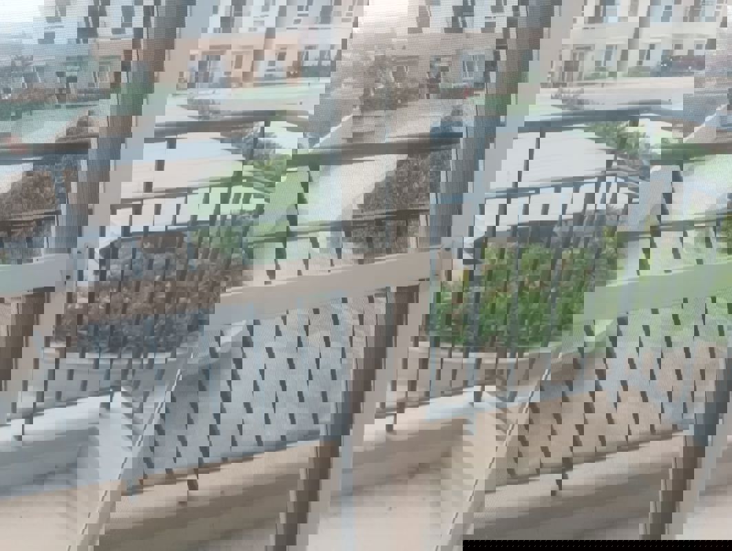 3 BHK Apartment For Rent in Brigade El Dorado