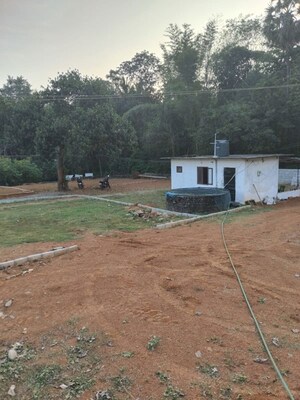 Plot Area in  Plot at Mundur – for Sale