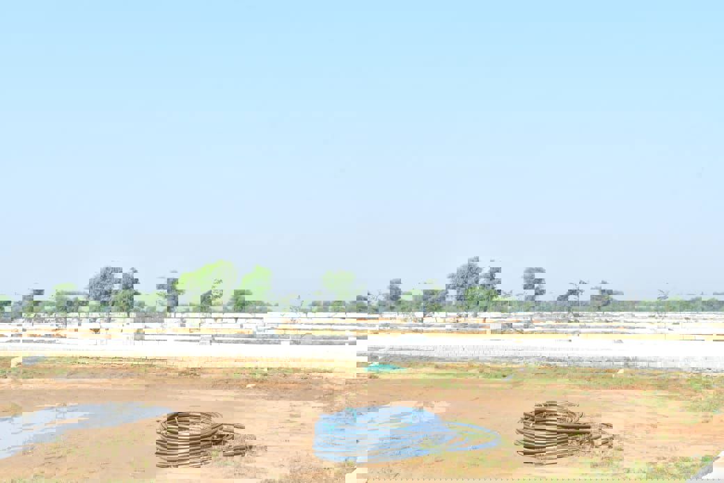 Plot For Sale in Mahaveer Nagar