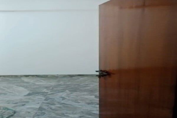 3 BHK + Pooja Room Builder Floor For Rent in Vasant Enclave