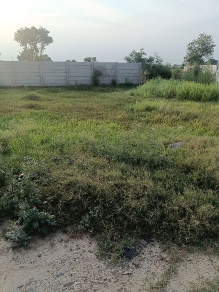 undefined, aiims road Commercial Land 2737 Sq.Ft. In Aiims Road Patna 9845732