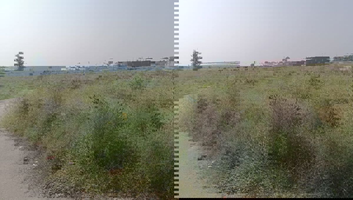 Land For Sale in AIIMS Road