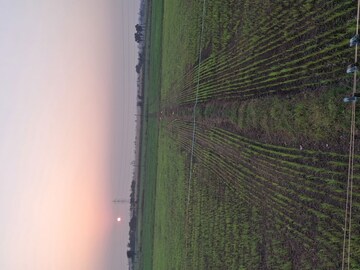  Plot For Sale in Olpad