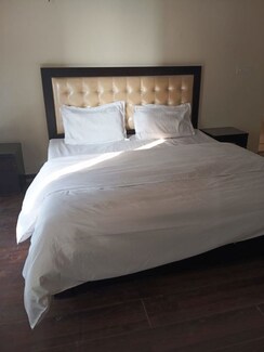 1 BHK Apartment For Rent in Orchid Petals