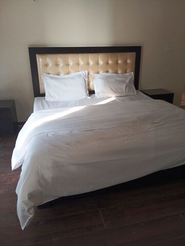 1 BHK Apartment For Rent in Orchid Petals, Sector 49