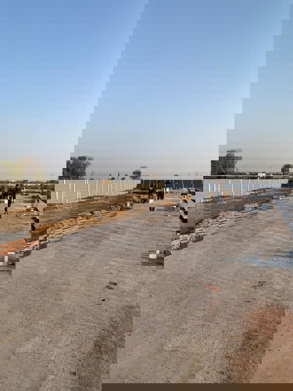 Plot For Sale in Sector 98