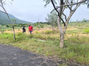 Plot Area in  Plot at Kothavalasa – for Sale