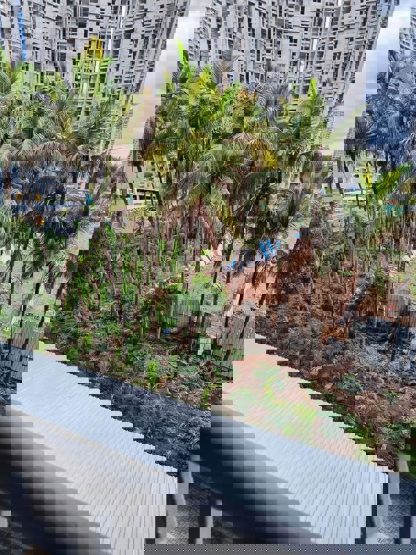 1 BHK + Pooja Room Apartment For Sale in Paranjape Blue Ridge