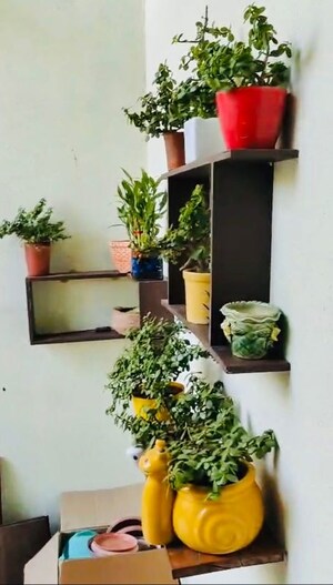 Furnished Amenities in 2 BHK Apartment at Basant Bahar Co Operative Housing Society, Pashan – for Rent