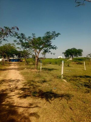  Plot For Sale in Kothur