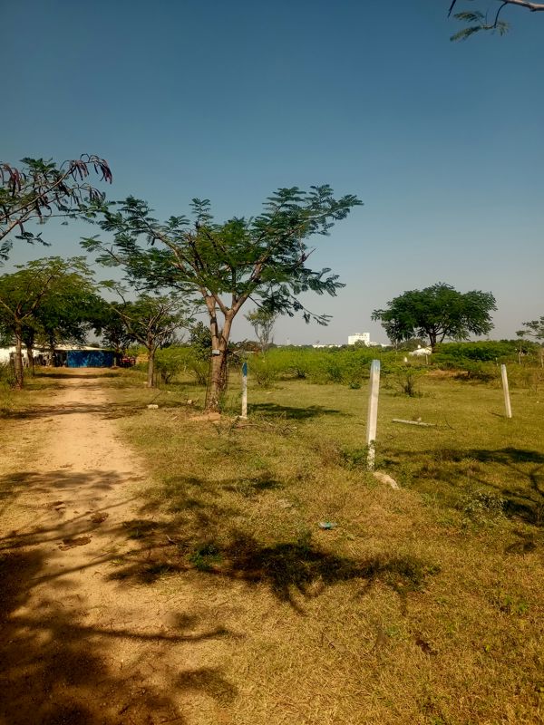 Plot For Sale in Kothur