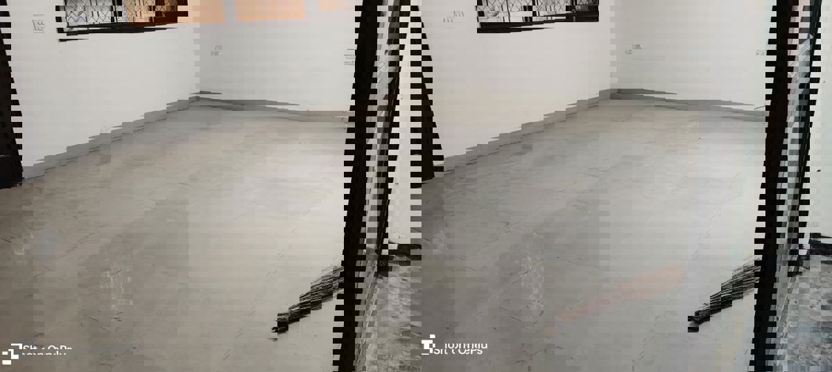 2 BHK Apartment For Rent in Arun Vihar Sector 37