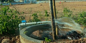 Plot Area in  Plot at Panjappur – for Sale