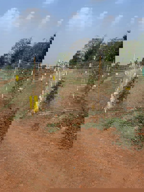 Plot For Sale in Kunchanapalli