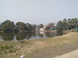 Plot Area in  Land at Searsole Rajbari – for Sale