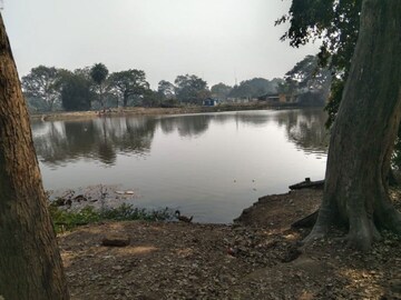 Plot Area in  Land at Searsole Rajbari – for Sale