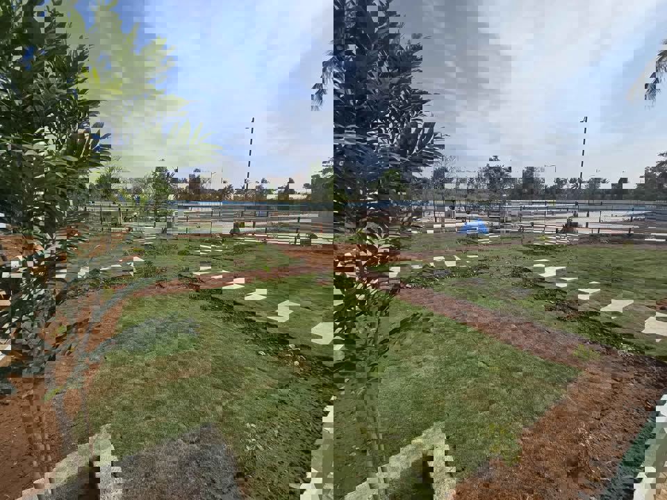 Plot For Sale in Kannur