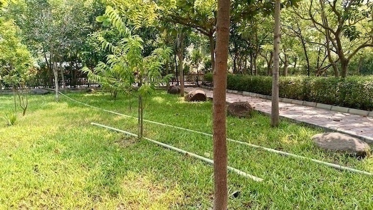 Garden, gauribidanur  1200 Sq.Yd. Plot In Gauribidanur Chikkaballapur 9847964