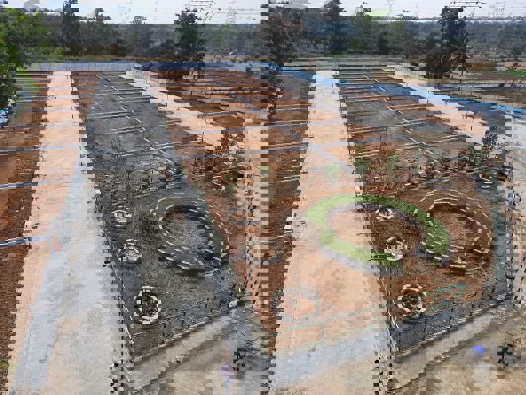 Plot For Sale in Kaggalipura