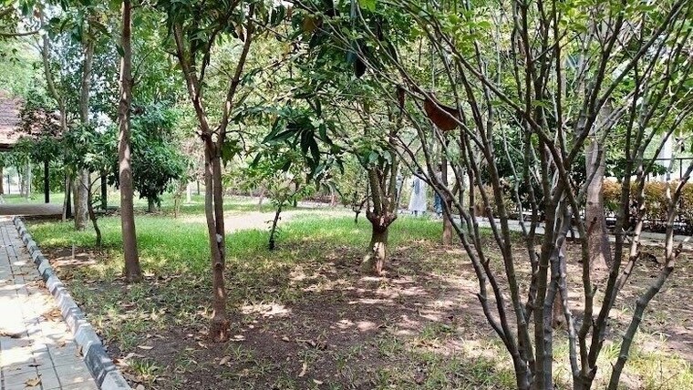 Garden, gauribidanur  1200 Sq.Ft. Plot In Gauribidanur Chikkaballapur 9847997